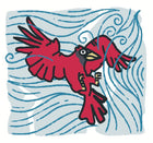 Image. A windswept bird, with a bamboozled facial expression.